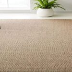 Are you looking best rugs for your place