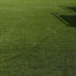 Can artificial grass offer the amazing benefit of natural grass