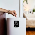 The Zen of Clean Air: How the Best Air Purifiers Are Quietly Transforming Mental Wellness