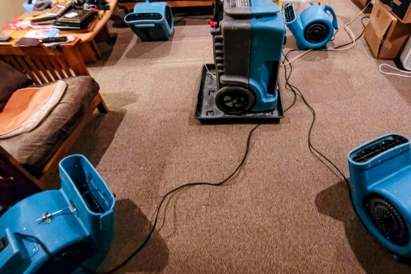 focused cleanup